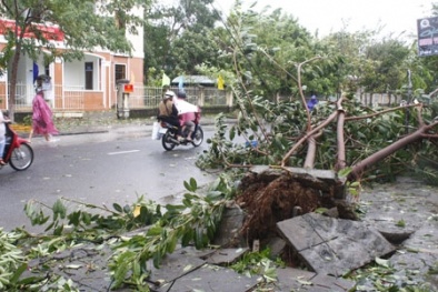 Cập nhật diễn biến bão số 11: Quảng Nam có 3 người chết